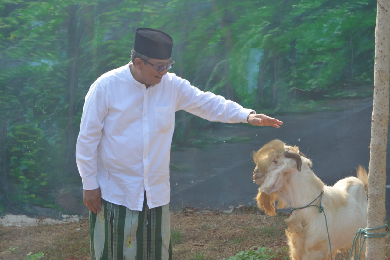 Sebanyak 8 Sapi Dan 13 Kambing Disalurkan Pemkab Bangkalan Untuk