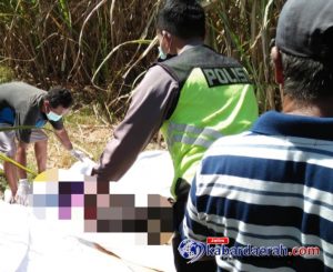 Mayat Pria Ditemukan Membusuk Di Kebun Tebu