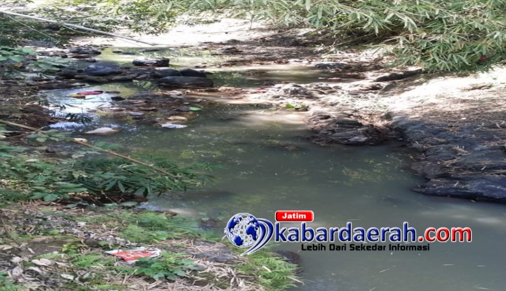 Sampah Merajarela Di Kabupaten Banyuwangi  Kabar Daerah  