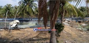 Masyarakat Pesisir Utara Dari Dulu Resah Maraknya Tambak Udang Di Kabupaten Sumenep