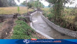 Kegiatan Rehabilitasi Jaringan Irigasi Desa Wringinanom, Kecamatan Pandaan, Guna Menunjang Pertanian