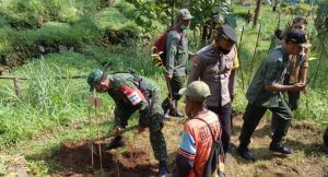 Bersama Perhutani, Babinsa Koramil 09/Jogorogo Tanam Pohon