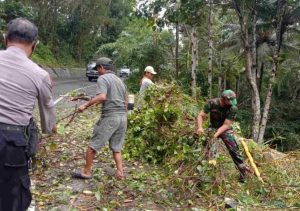 Akses Jalan Putus, Babinsa Koramil 0806/07 Watulimo Bersama Warga Singkirkan Pohon Bambu Tumbang