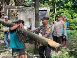 Anggota Polsek Ponggok Bersama Warga Masyarakat  Evakuasi Pohon Tumbang.