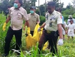 Warga Purwokerto Srengat di Gegerkan Penemuan Kerangka Manusia