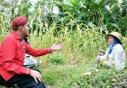 Bupati Sumenep Tegaskan Tidak Ada Kelangkaan Pupuk Subsidi di 2025
