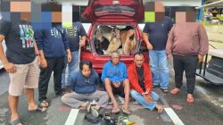 Meresahkan! Tiga Pencuri Kambing Digulung Satreskrim Polres Blitar Kota.